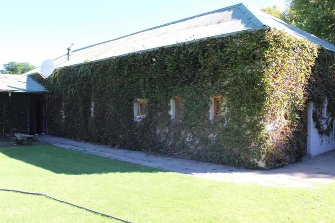Lord Fraser Guest House Wepener Exteriér fotografie